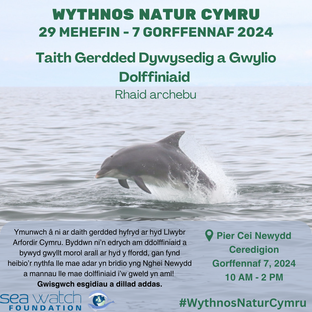 Taith Gerdded Dywysedig a Gwylio Dolffiniaid 